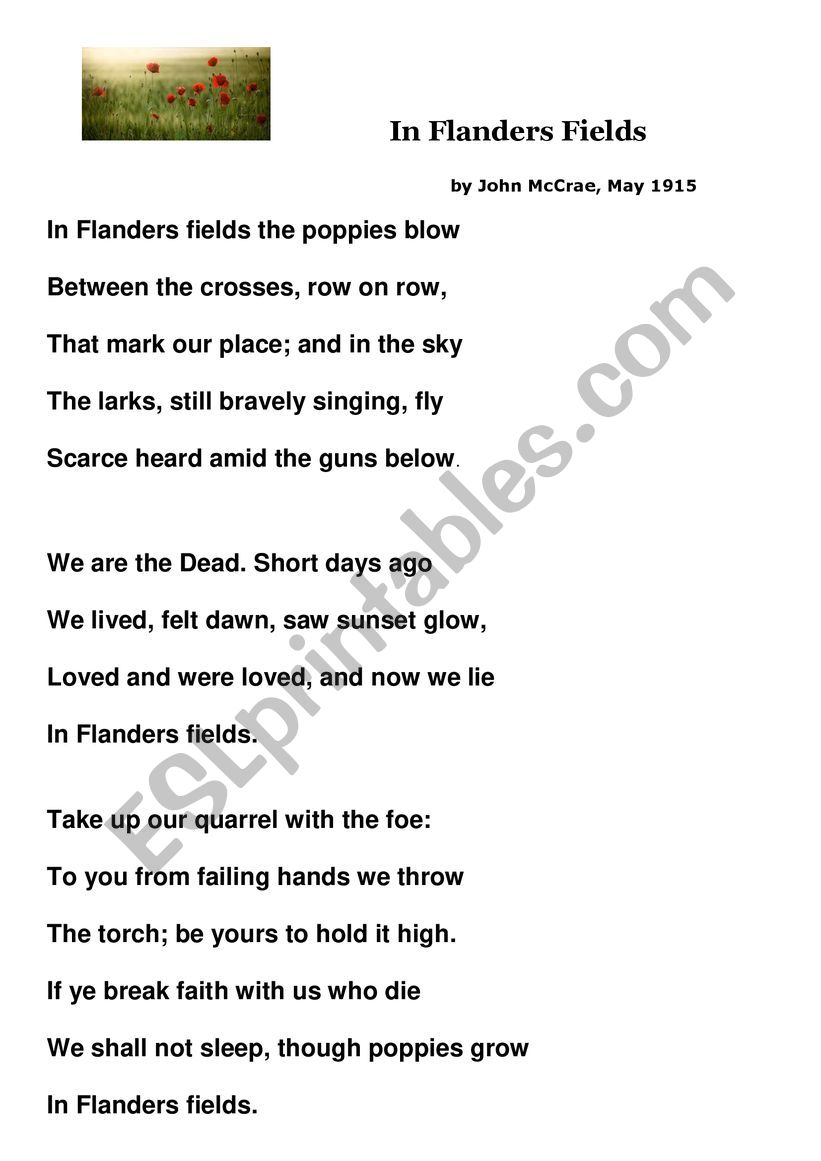 IN FLANDERS  FIELDS  POEM worksheet