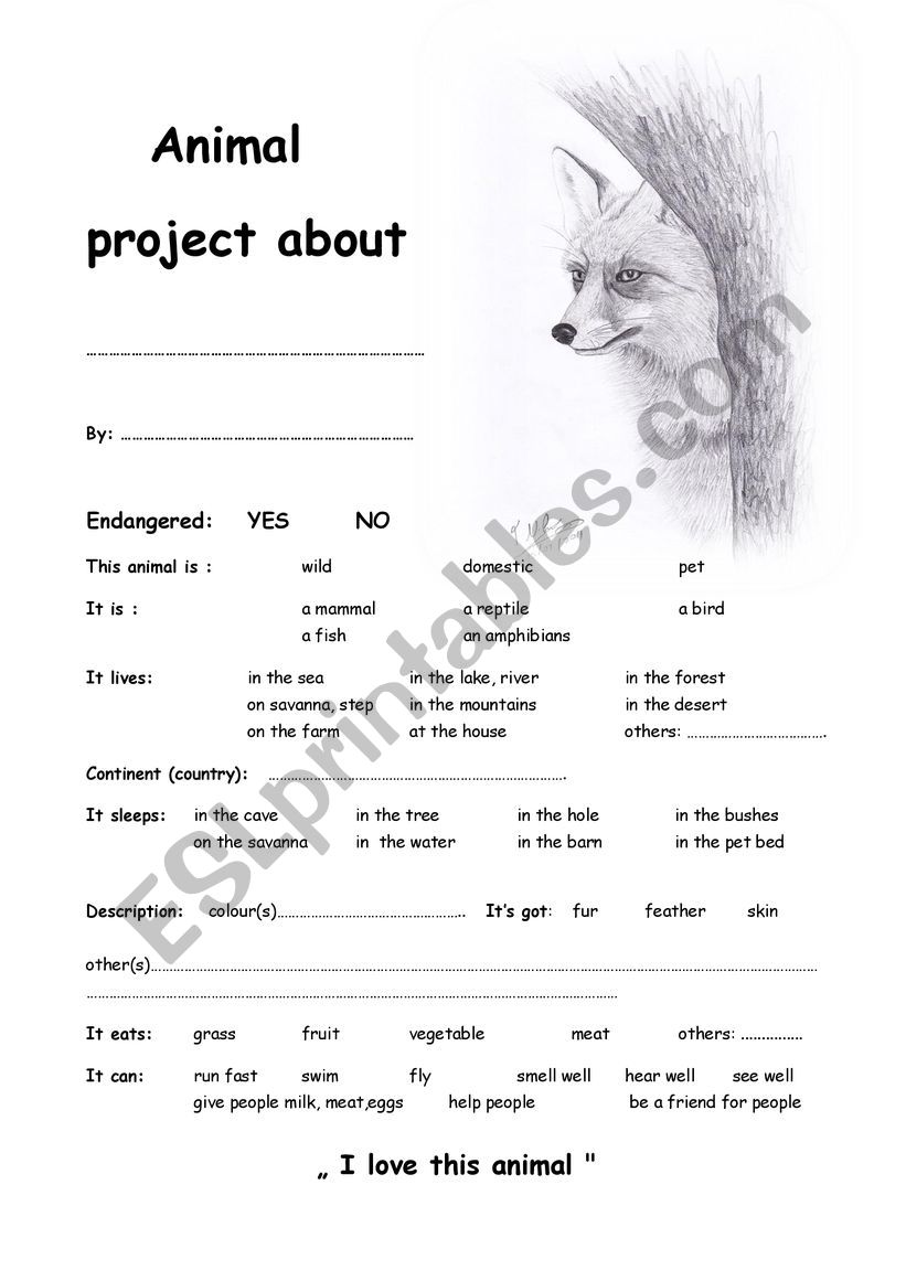 Fox project worksheet