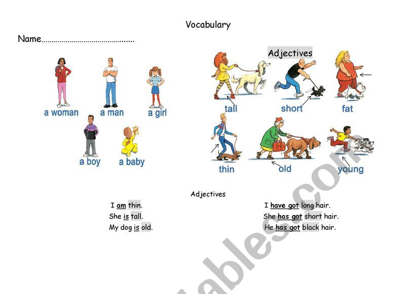 Adjectives worksheet