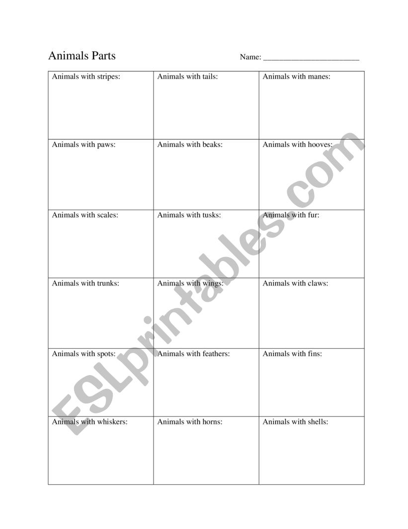 Animal Part Vocabulary worksheet