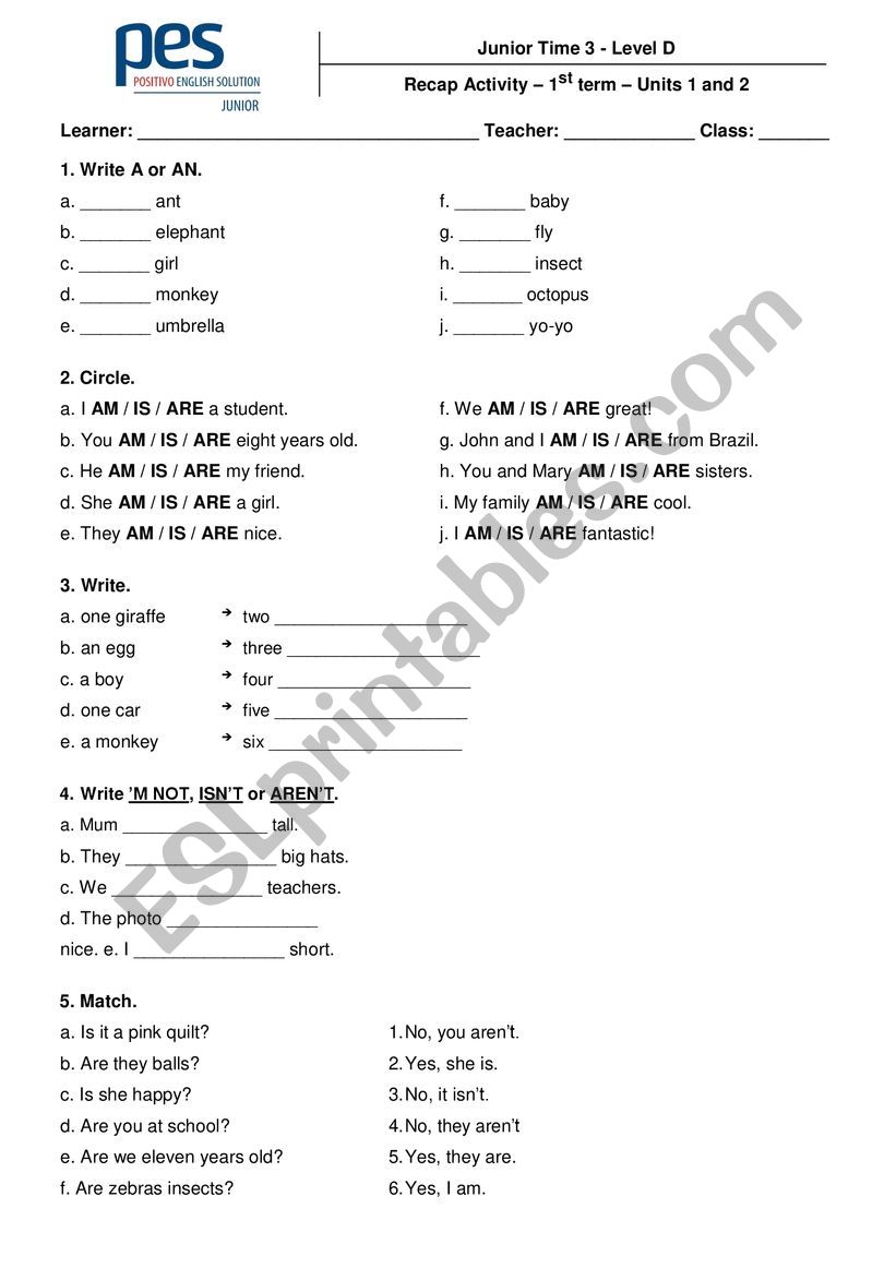 lmdvd,vd worksheet