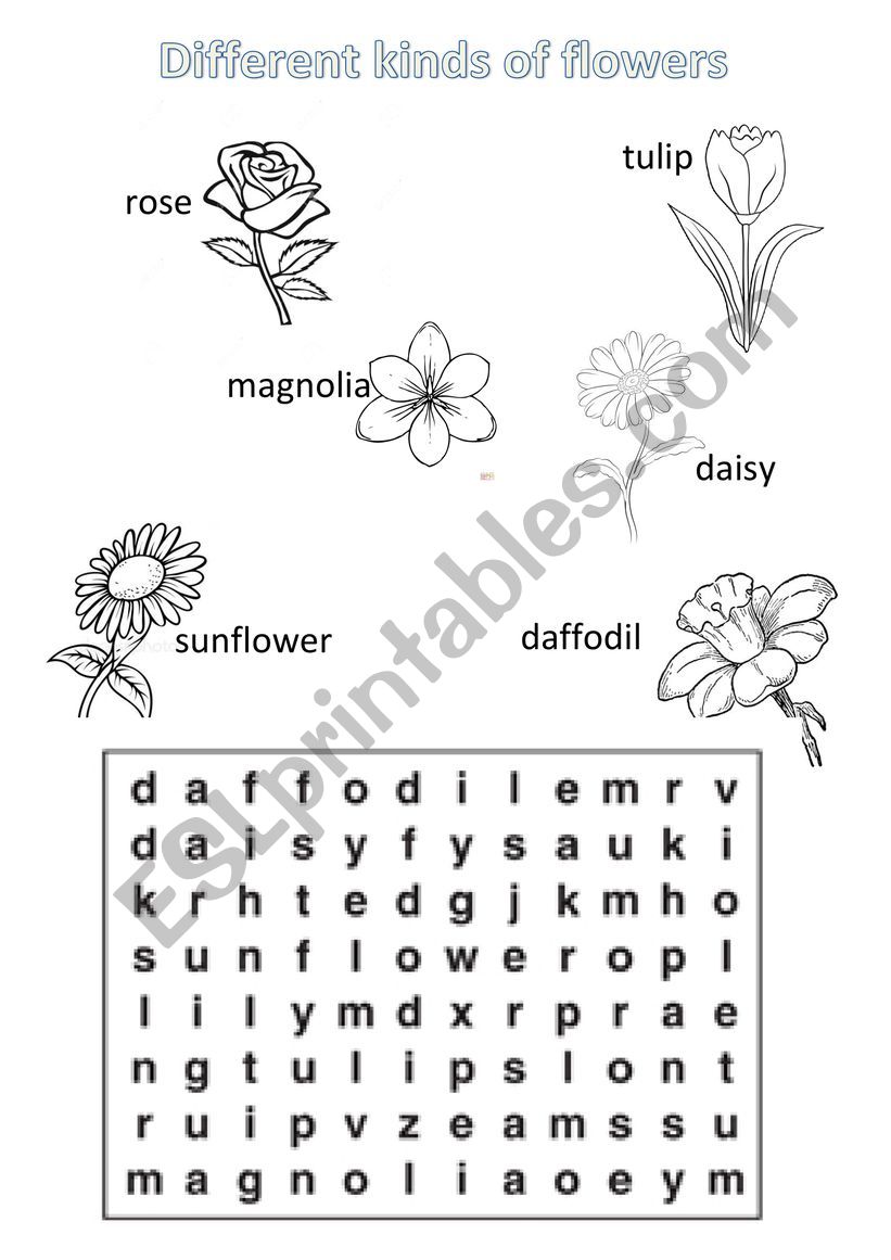 flowers wordsearch worksheet