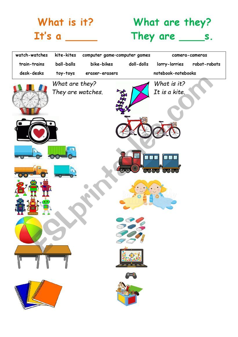 What is it? What are they? worksheet