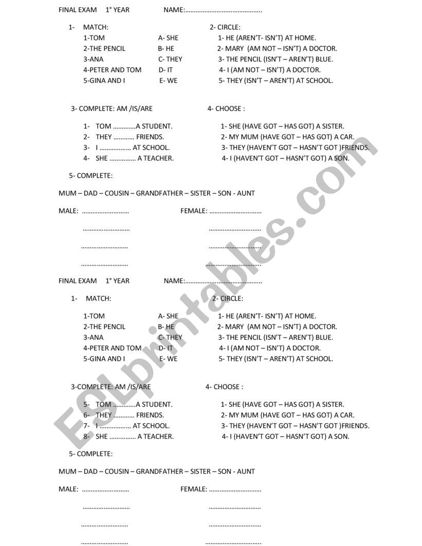 final test worksheet
