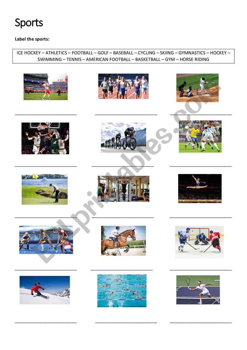 Label the sports worksheet