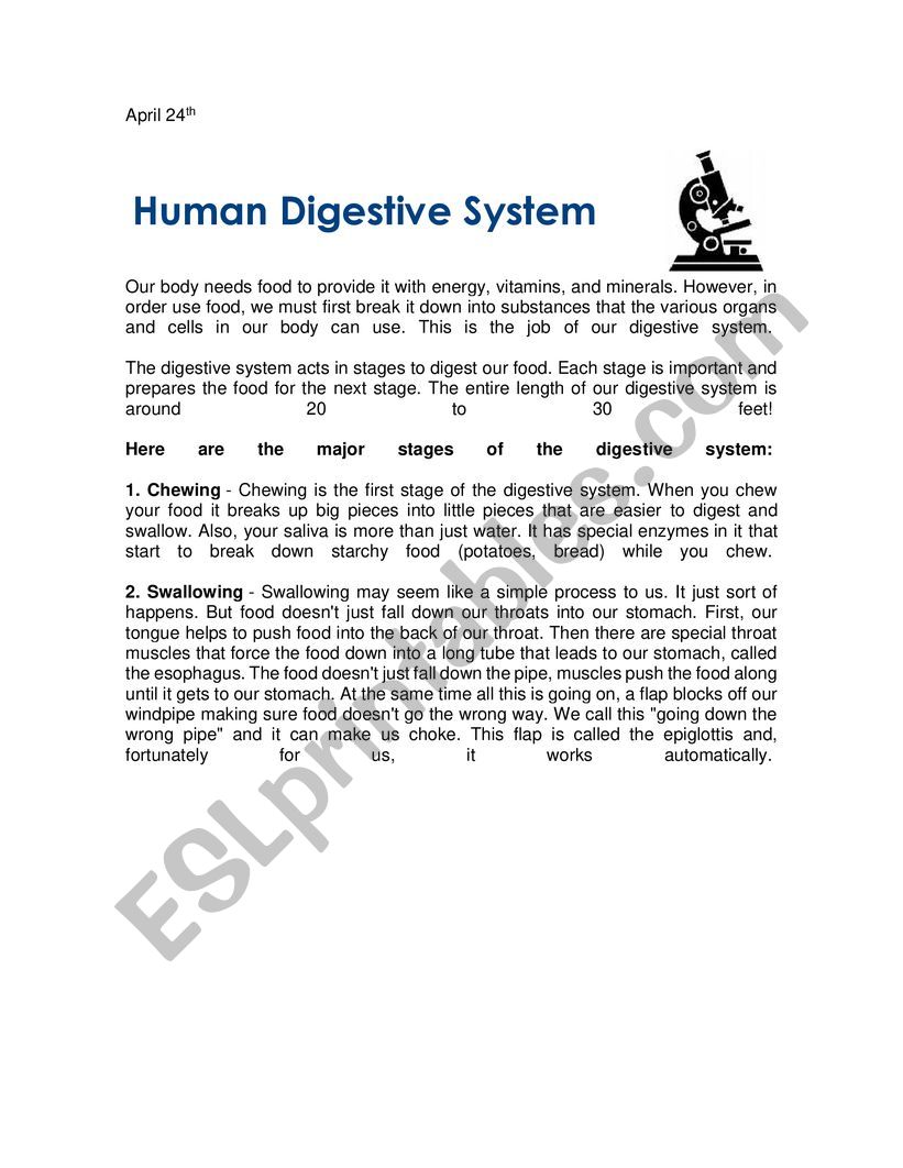 Digestive system worksheet