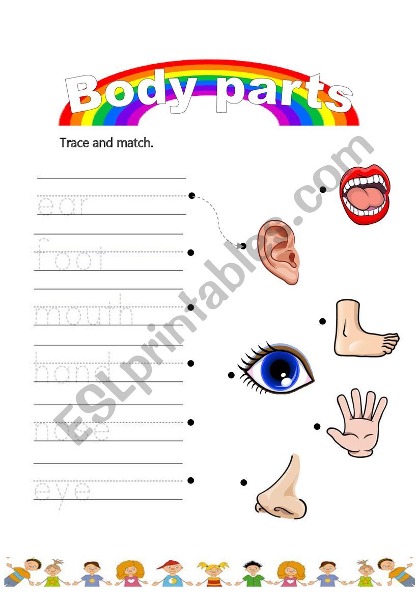 Body parts. Trace and match. worksheet