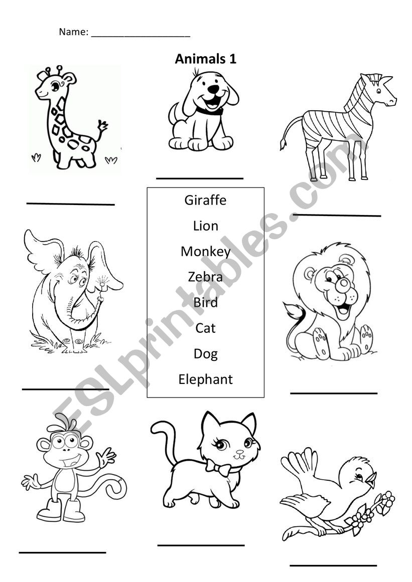 Animals worksheet