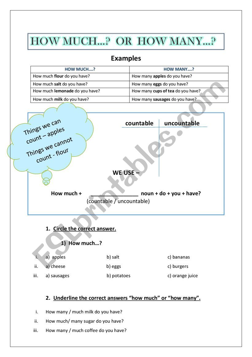 How much...? or How many..? worksheet