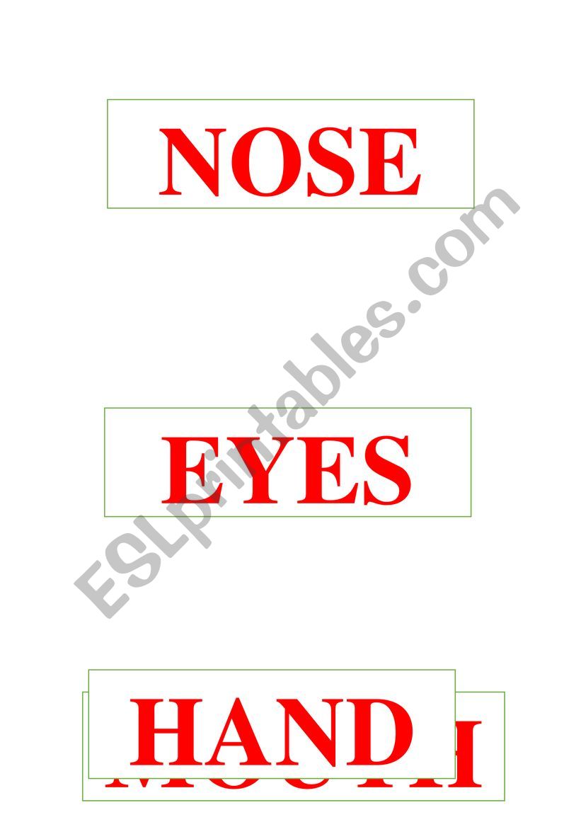 body part worksheet