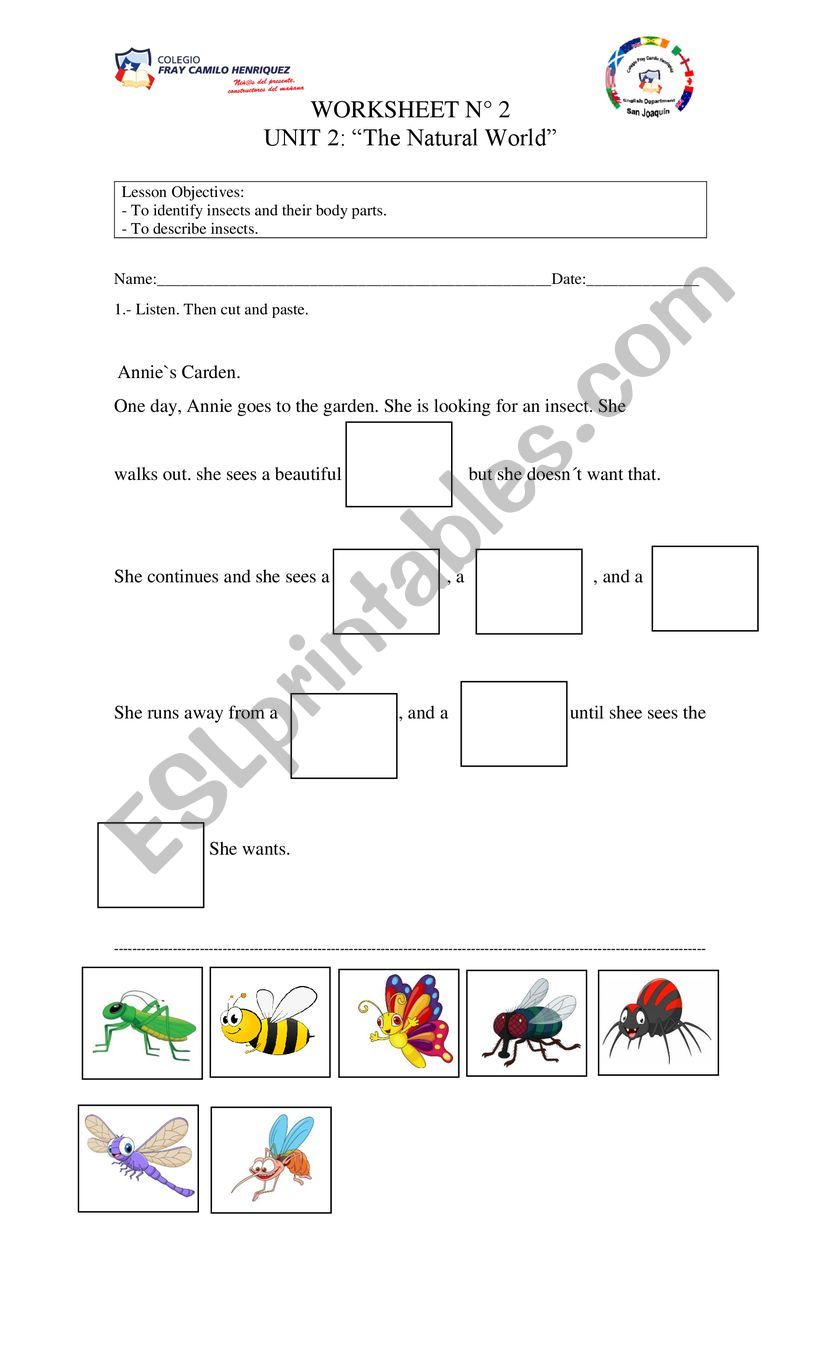 Worksheet 