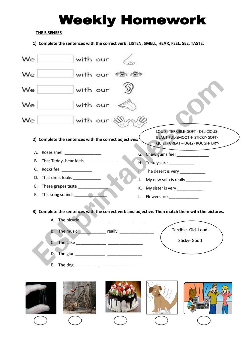 the five senses and senses adjectives