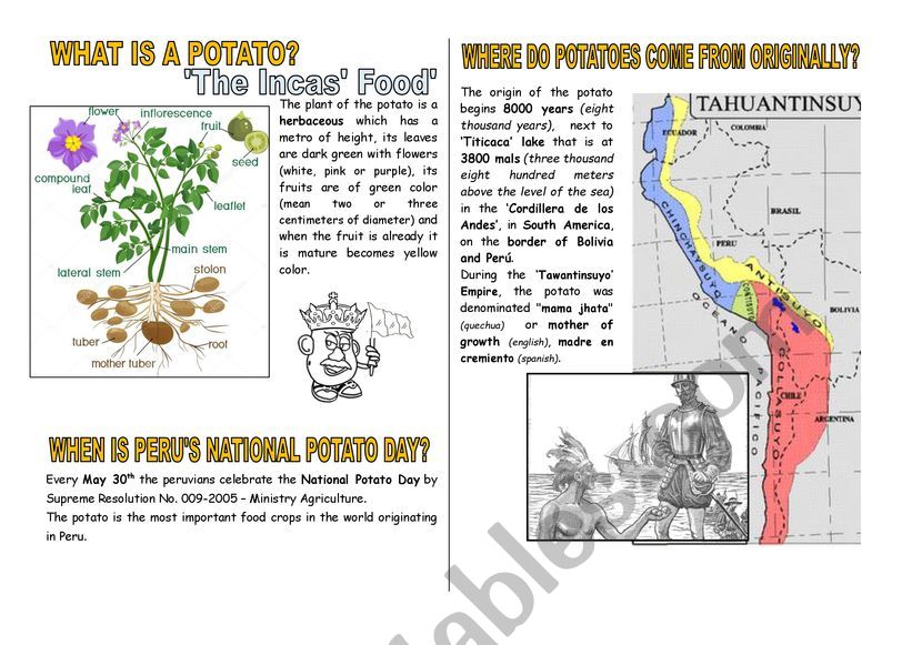 PERUVIAN POTATO DAY worksheet