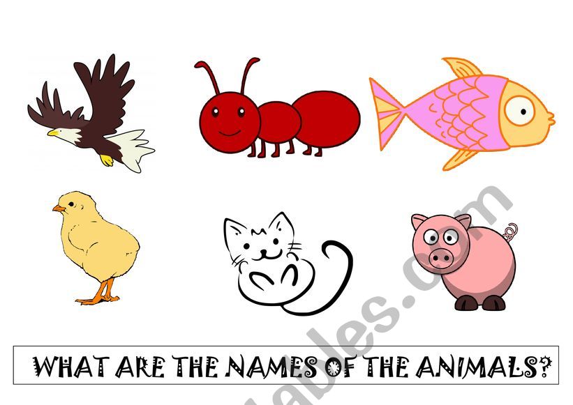 What are the names of the animals?