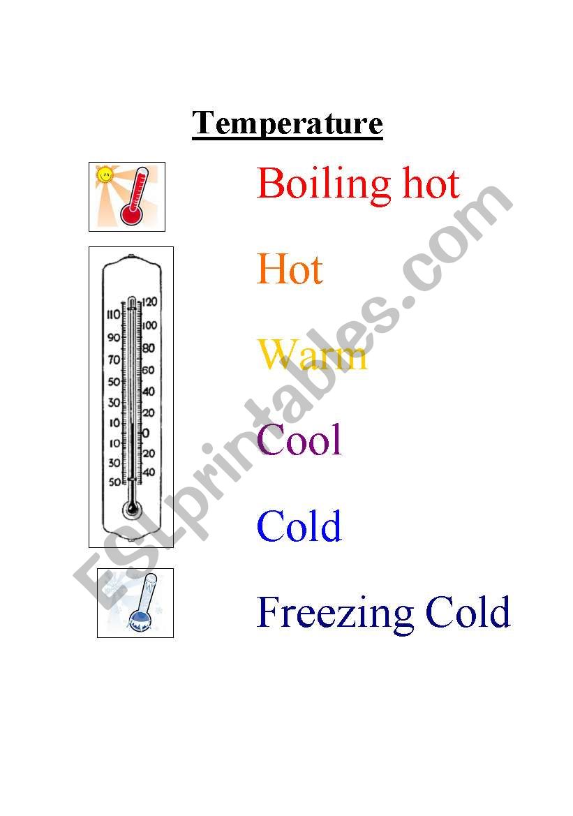 Temperature Vocabulary Sheet for Molecular Motion Lesson