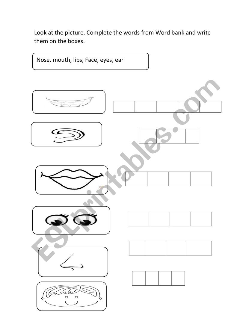 Parts of the face worksheet