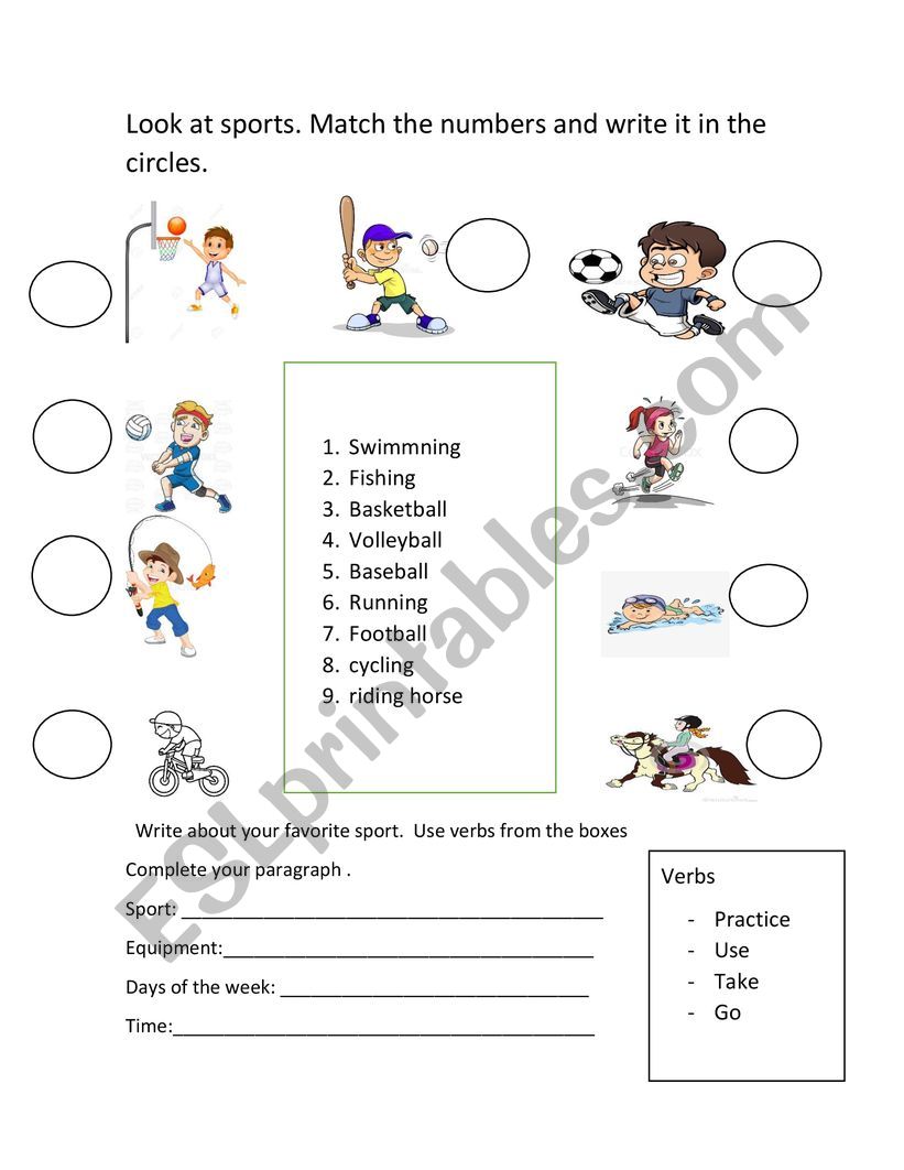 sports worksheet