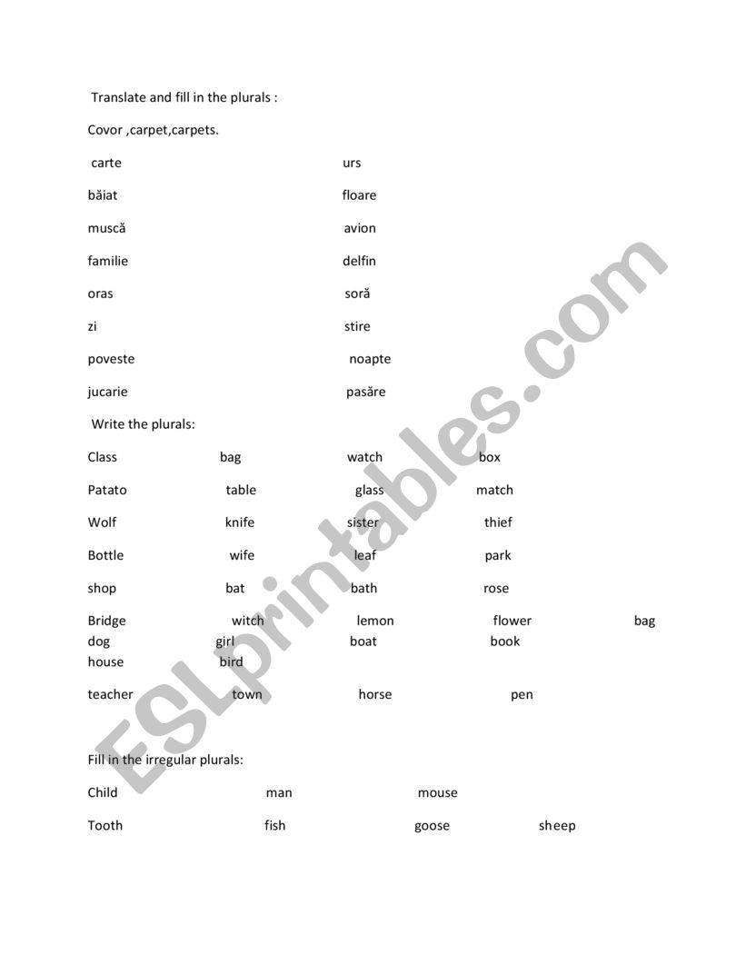 test plurals worksheet