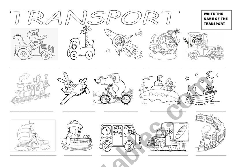 Were going by... (transport) worksheet