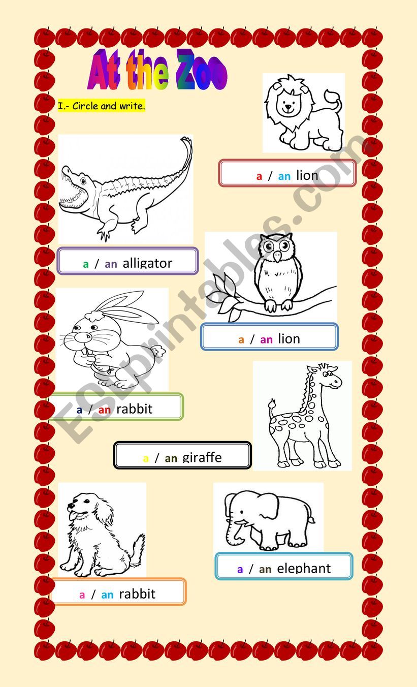 Animals worksheet