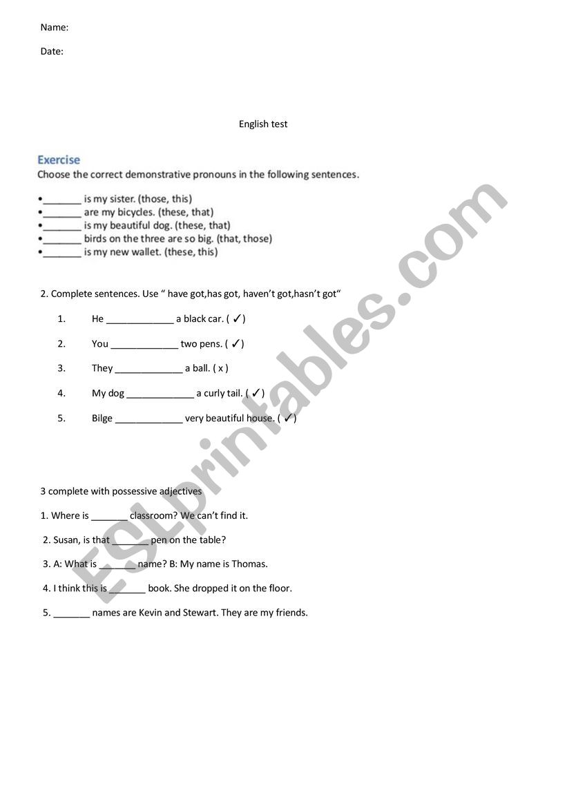 test for 6th grade worksheet