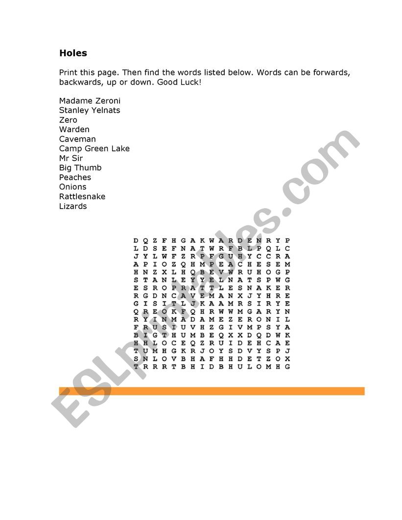 Holes Word Search worksheet