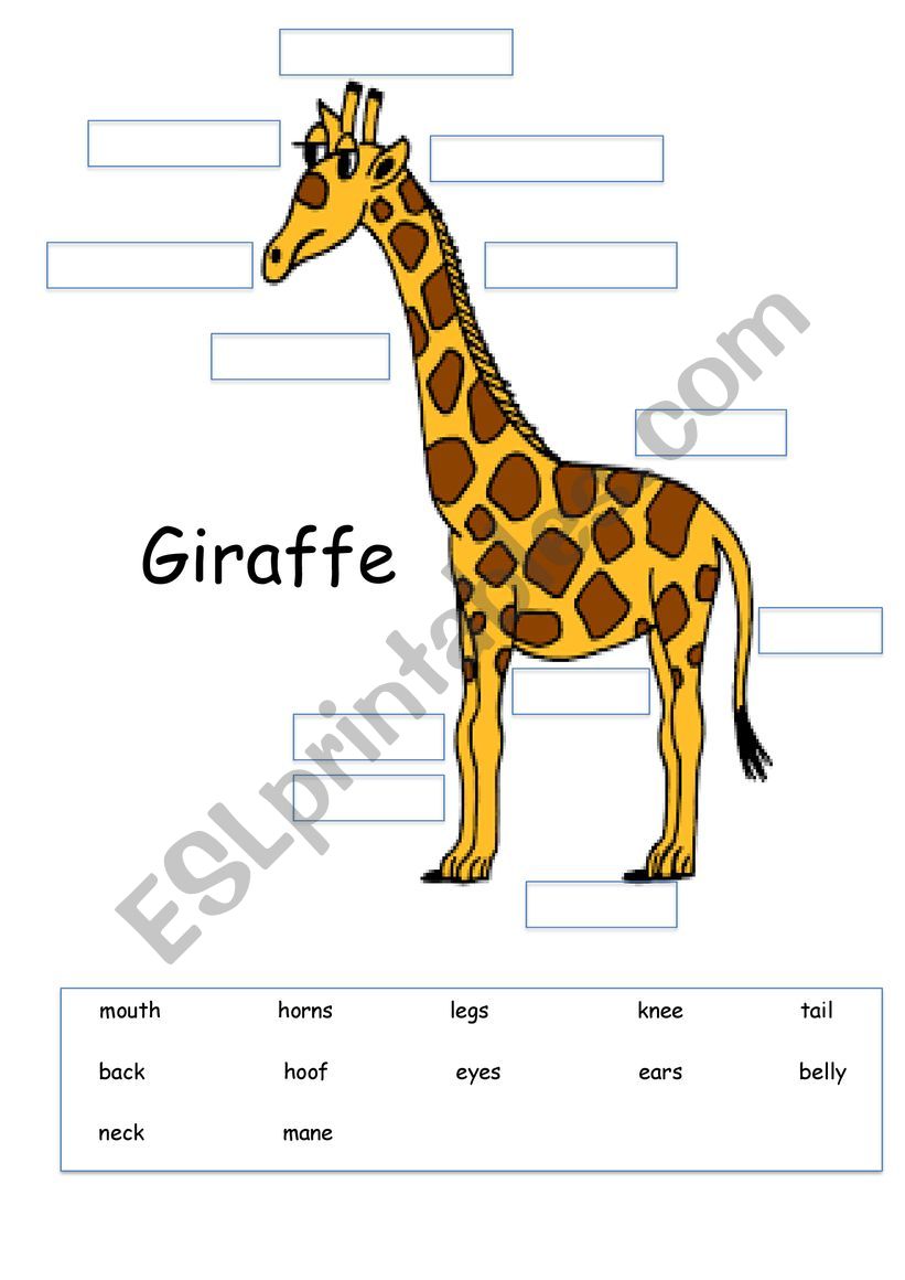 Giraffe Body Parts worksheet