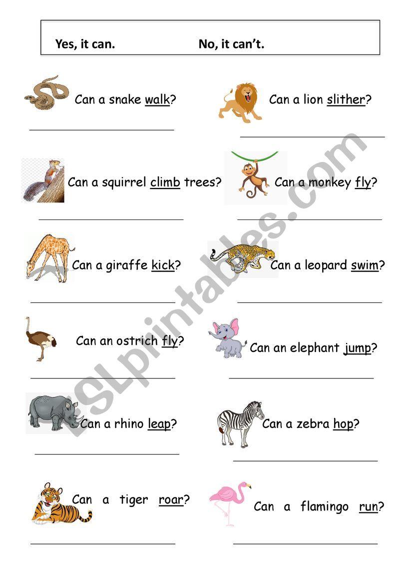 Zoo Theme: Can and Cant worksheet