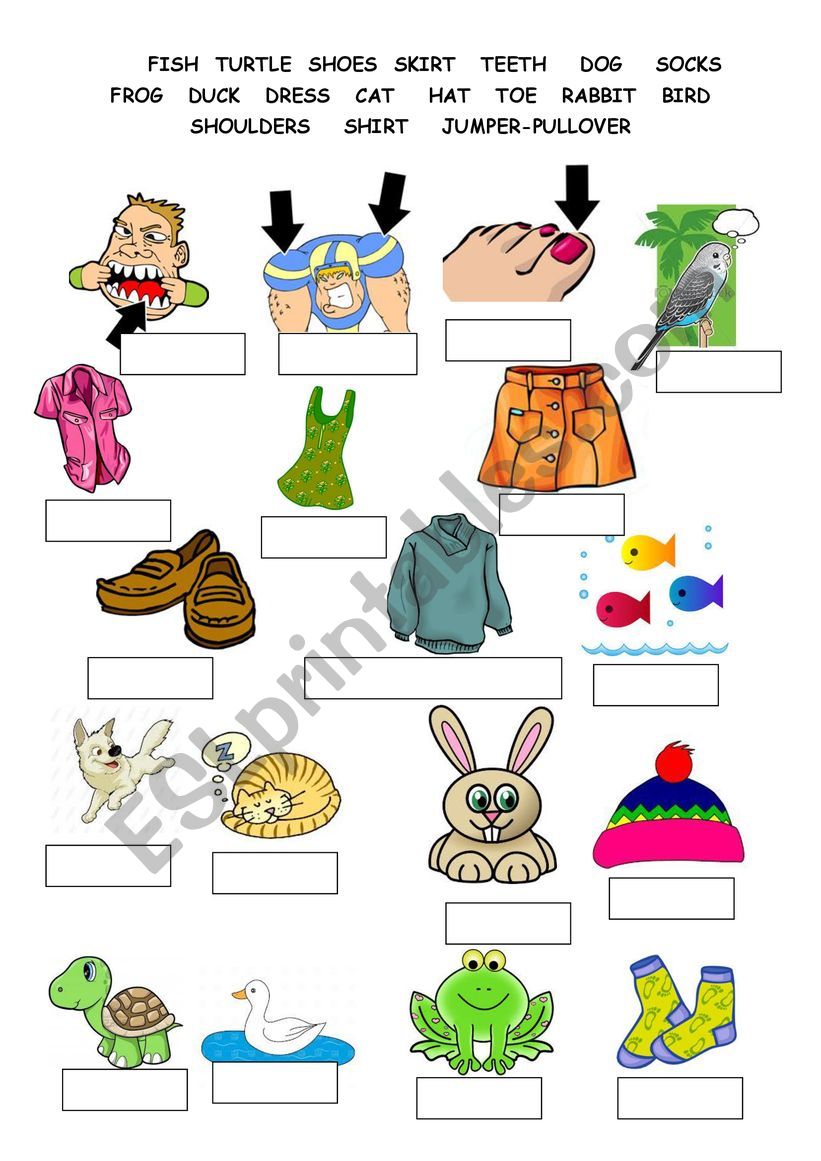 vocabulary worksheet