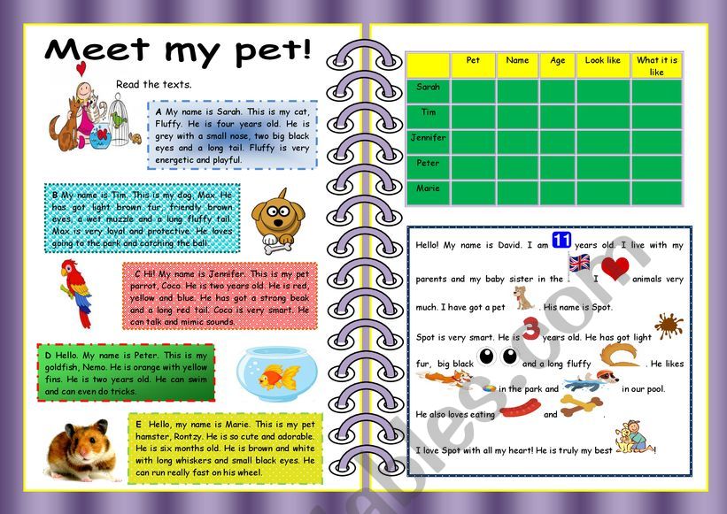 Meet my pet! worksheet