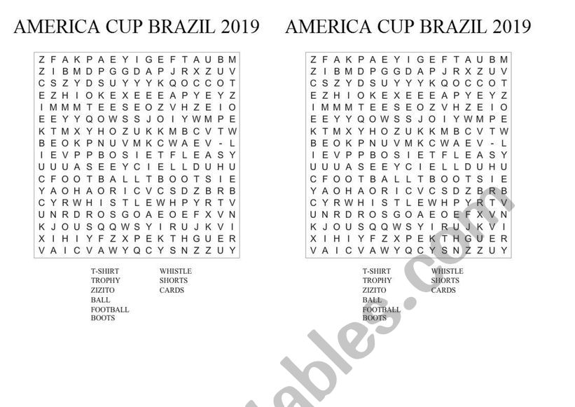 America cup 2019 wordsearch worksheet