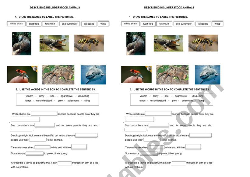 Misunderstood Animals worksheet