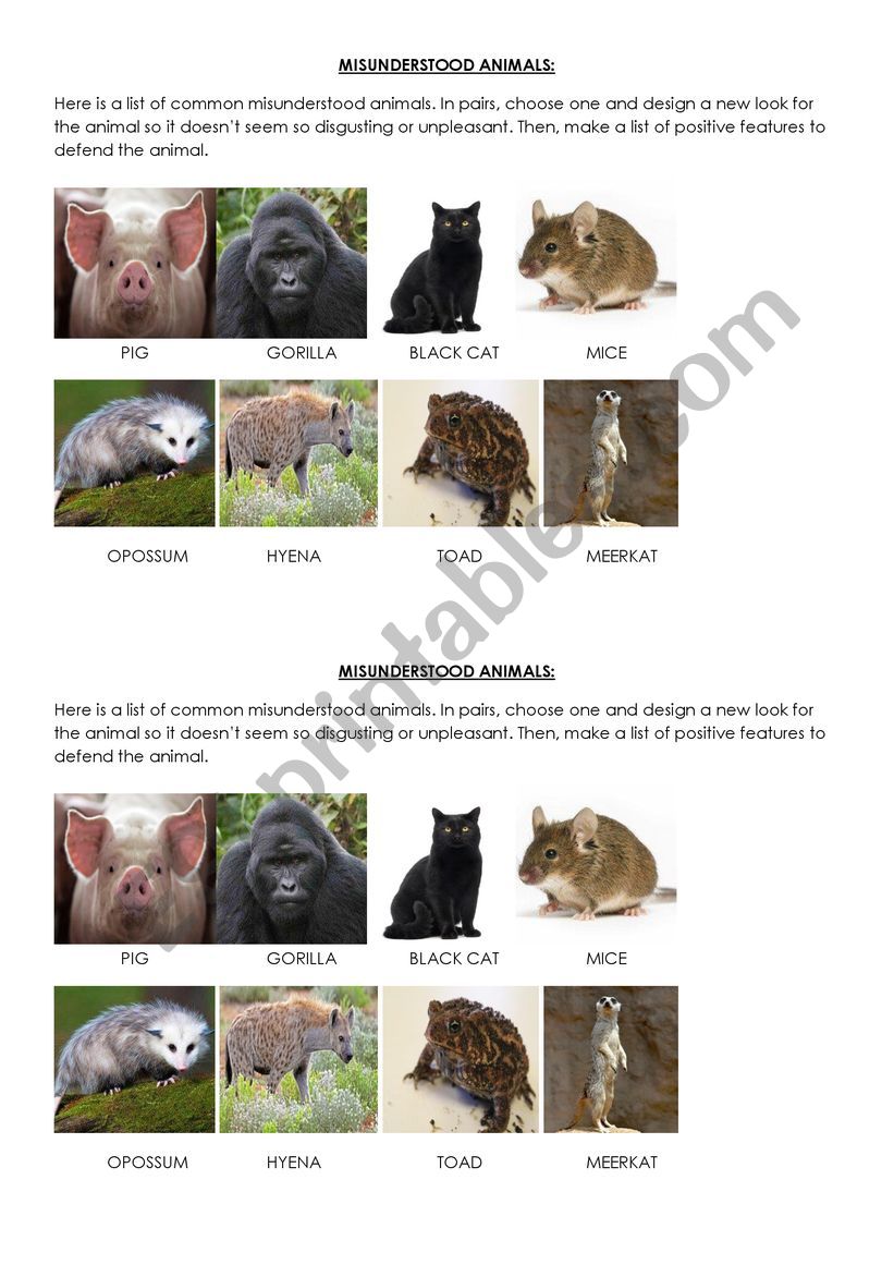 Misunderstood Animals worksheet