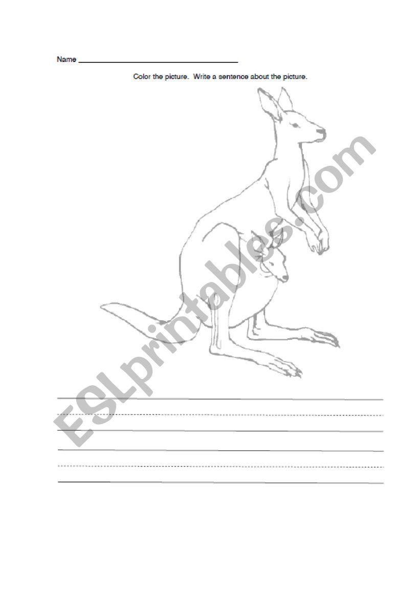 Australian animals worksheet