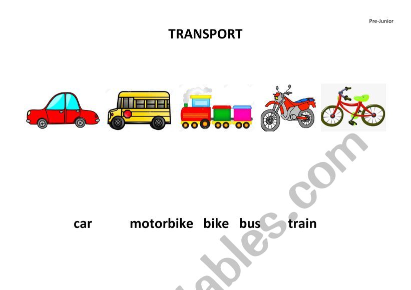 MEANS OF TRANSPORT  worksheet