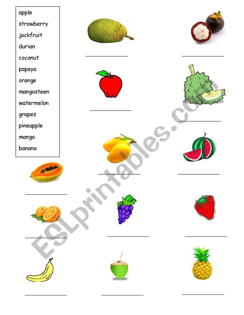 Fruit Vocaburaly worksheet