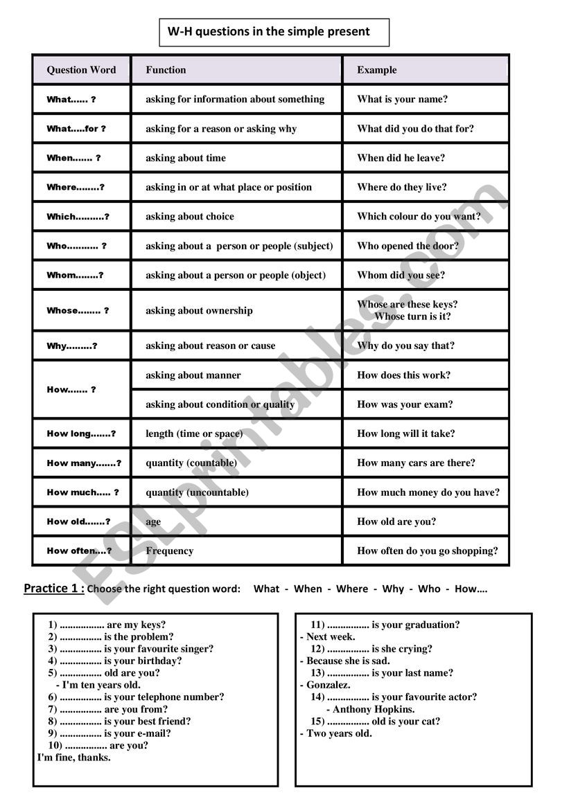 W-H questions in the simple present