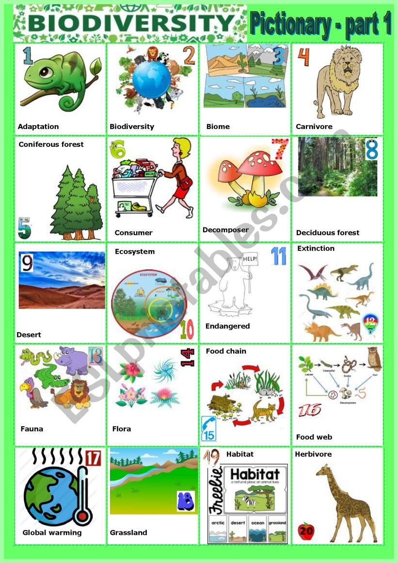 Biodiversity - Pictionary - Part 1 - vocabulary + KEY