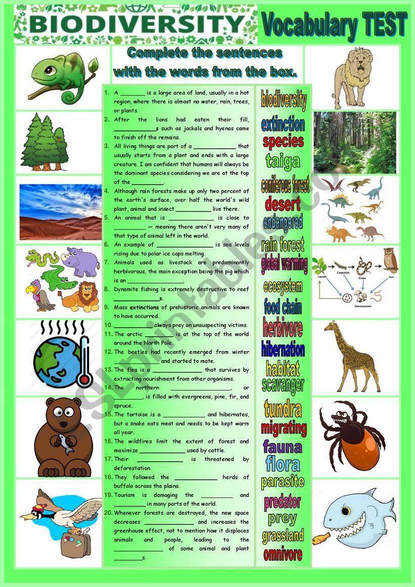 Biodiversity - Complete the sentences - TEST + KEY