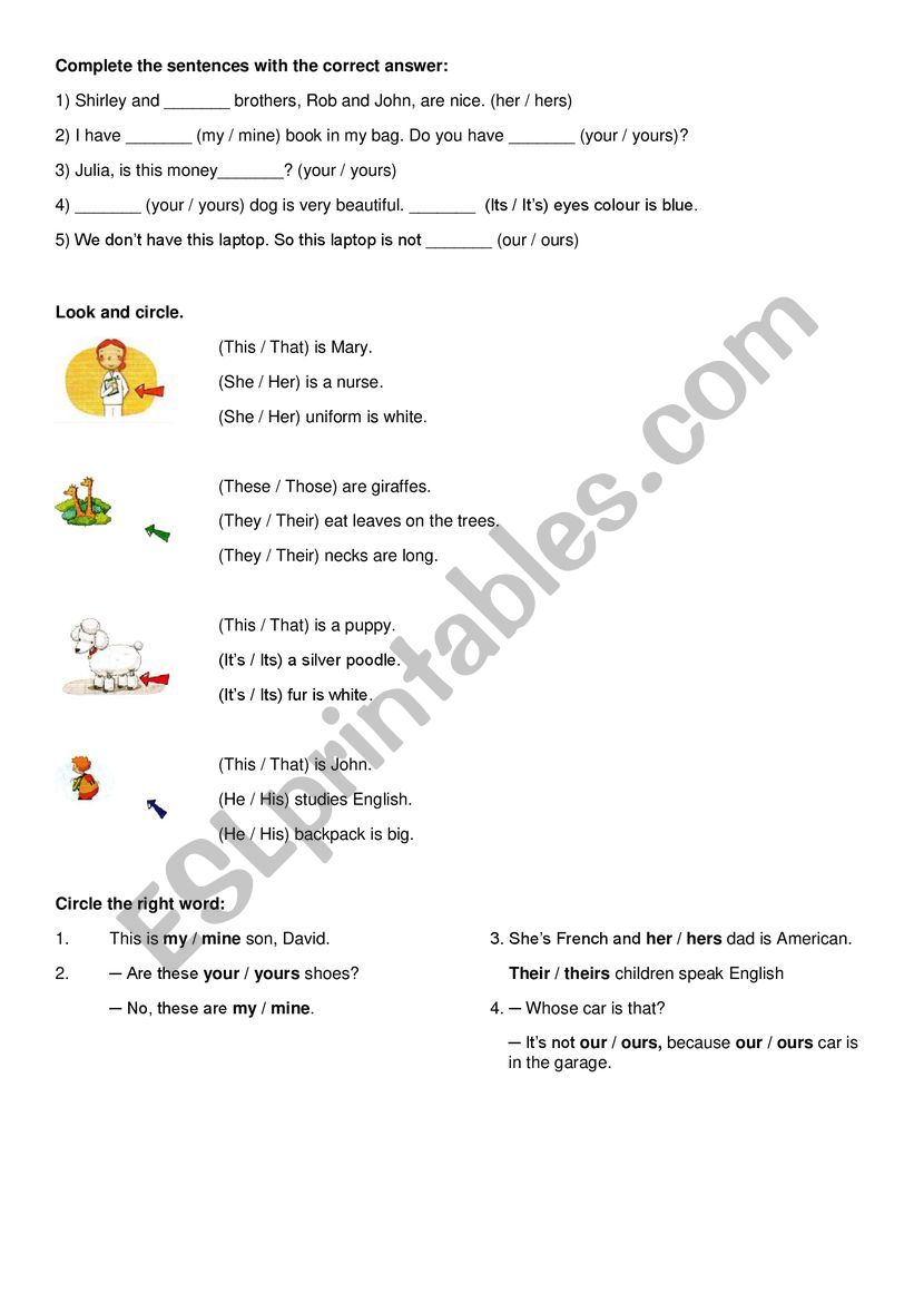 Possessive Adjectives x Possessive Pronouns