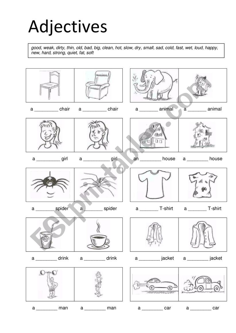 opposite adjectives worksheet