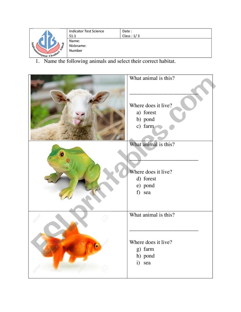 Where do animals live worksheet