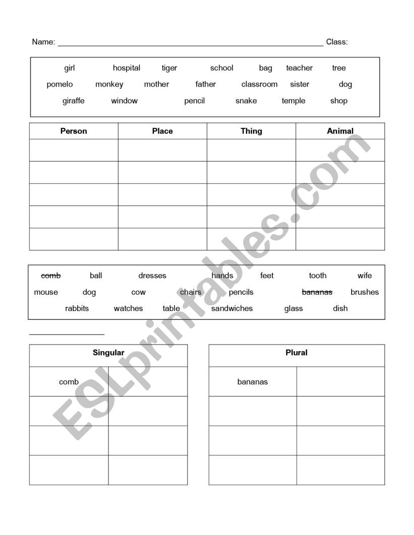 Nouns differentiation  (Plural, Singular) 