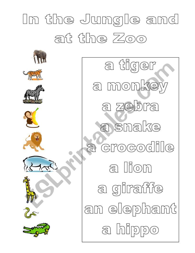 Jungle Animals worksheet