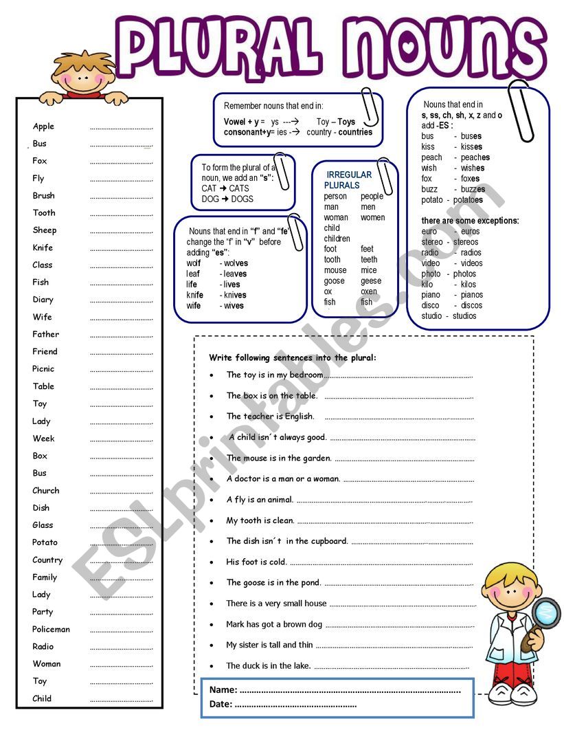 PLURAL NOUNS worksheet