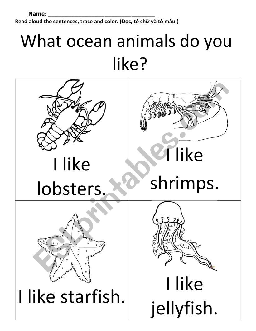 Ocean animals worksheet