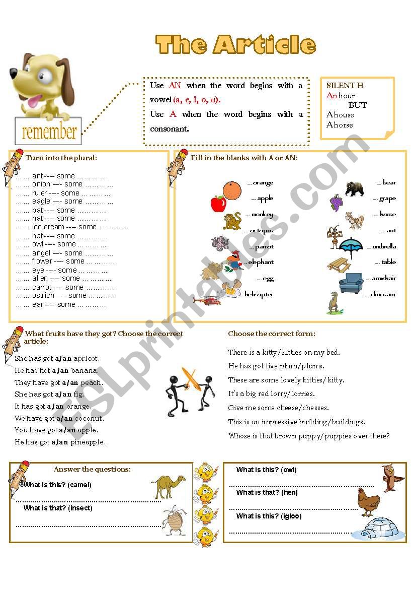 THE INDEFINITE ARTICLE worksheet