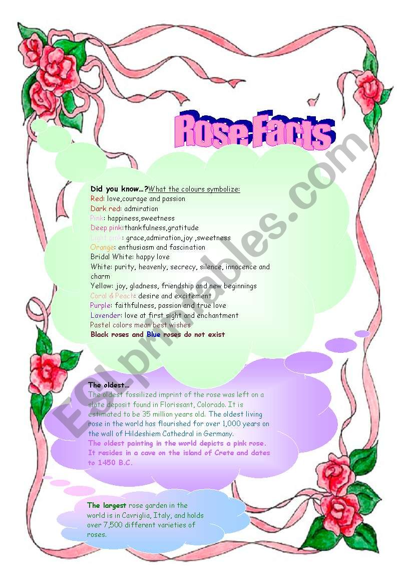 Rose Facts worksheet