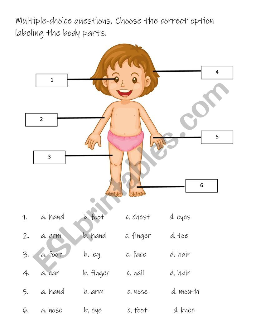 Body parts worksheet