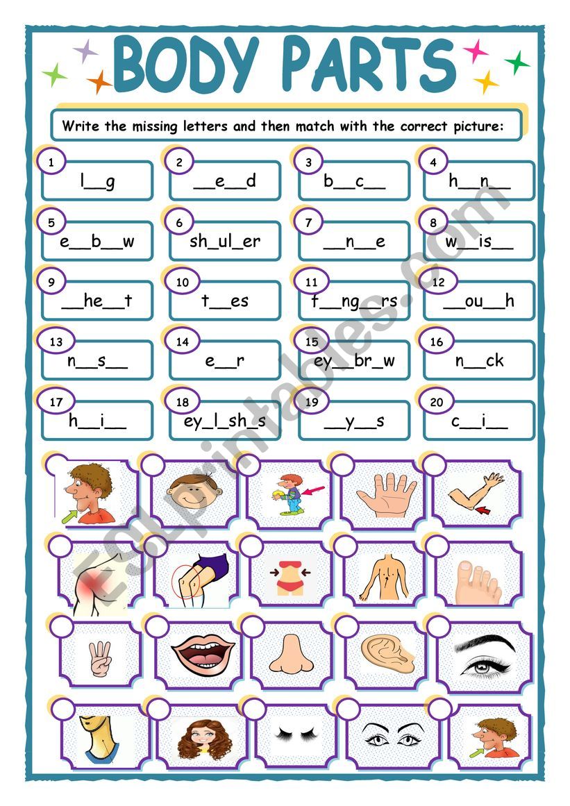 Body Parts worksheet Body Parts worksheet